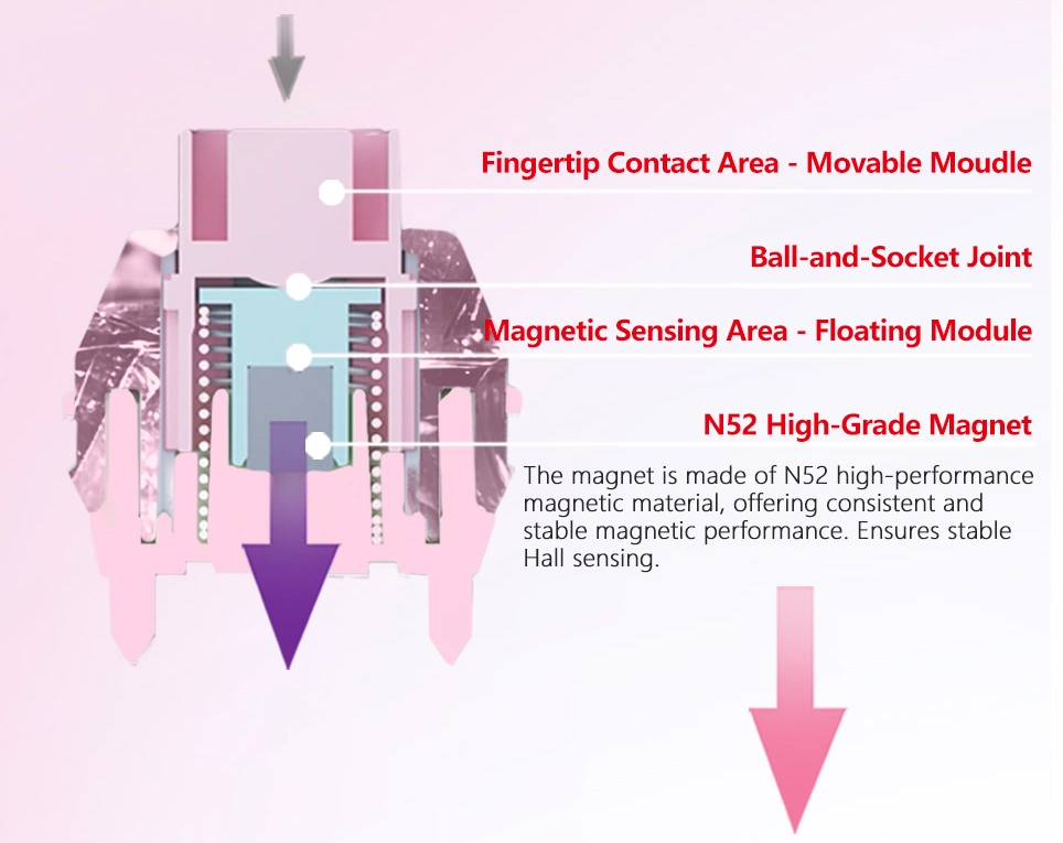 polar-magnetic-peach-003.webp polar-magnetic-peach-003.webp