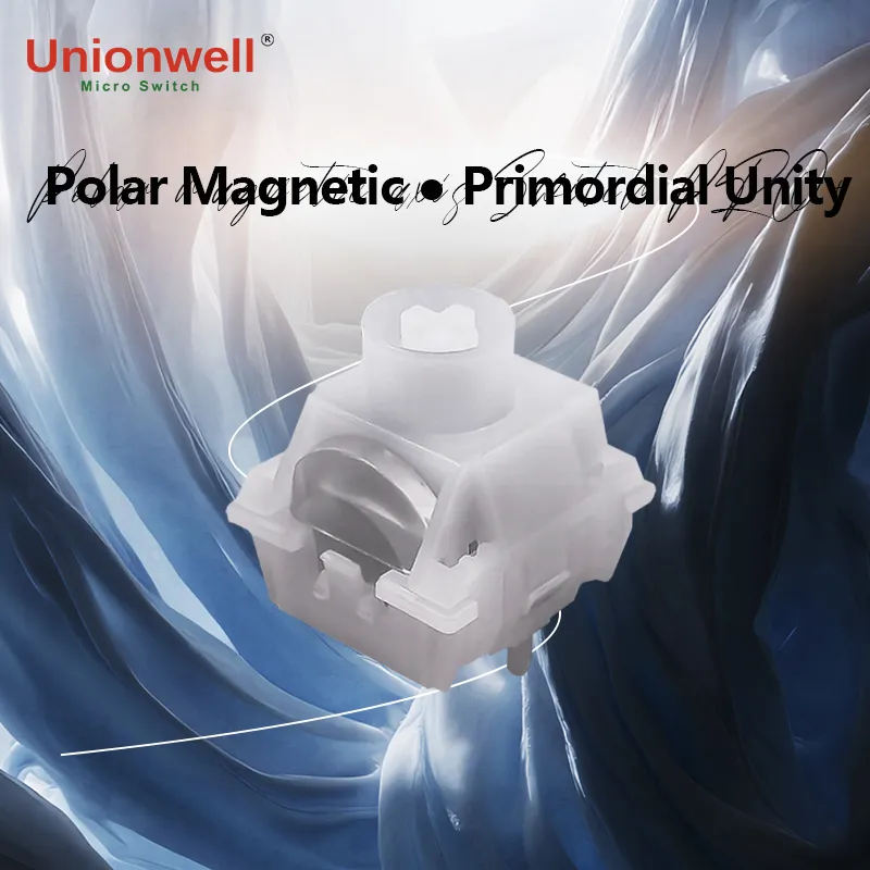 Polar Magnetic・Primordial Unity